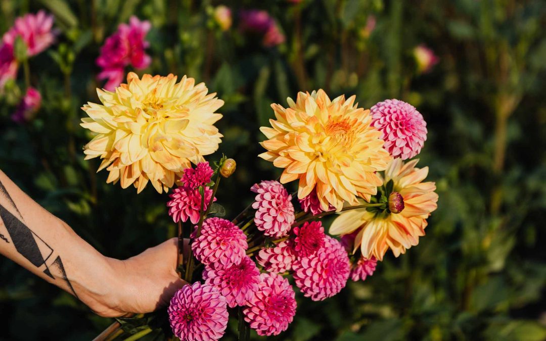 Seasonal Pinterest Strategy for Long-Term Growth